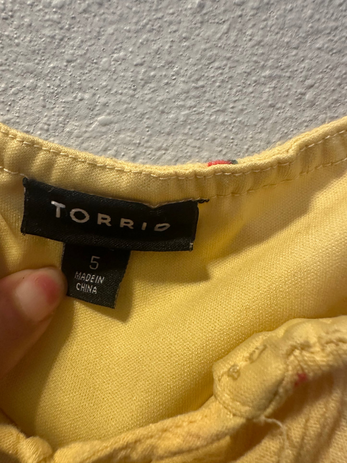 Size 5x (28) torrid Mini Gauze Smocked Waist Dress Strawberries